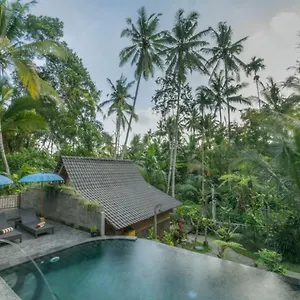 Sweet Orange , Ubud Indonesia